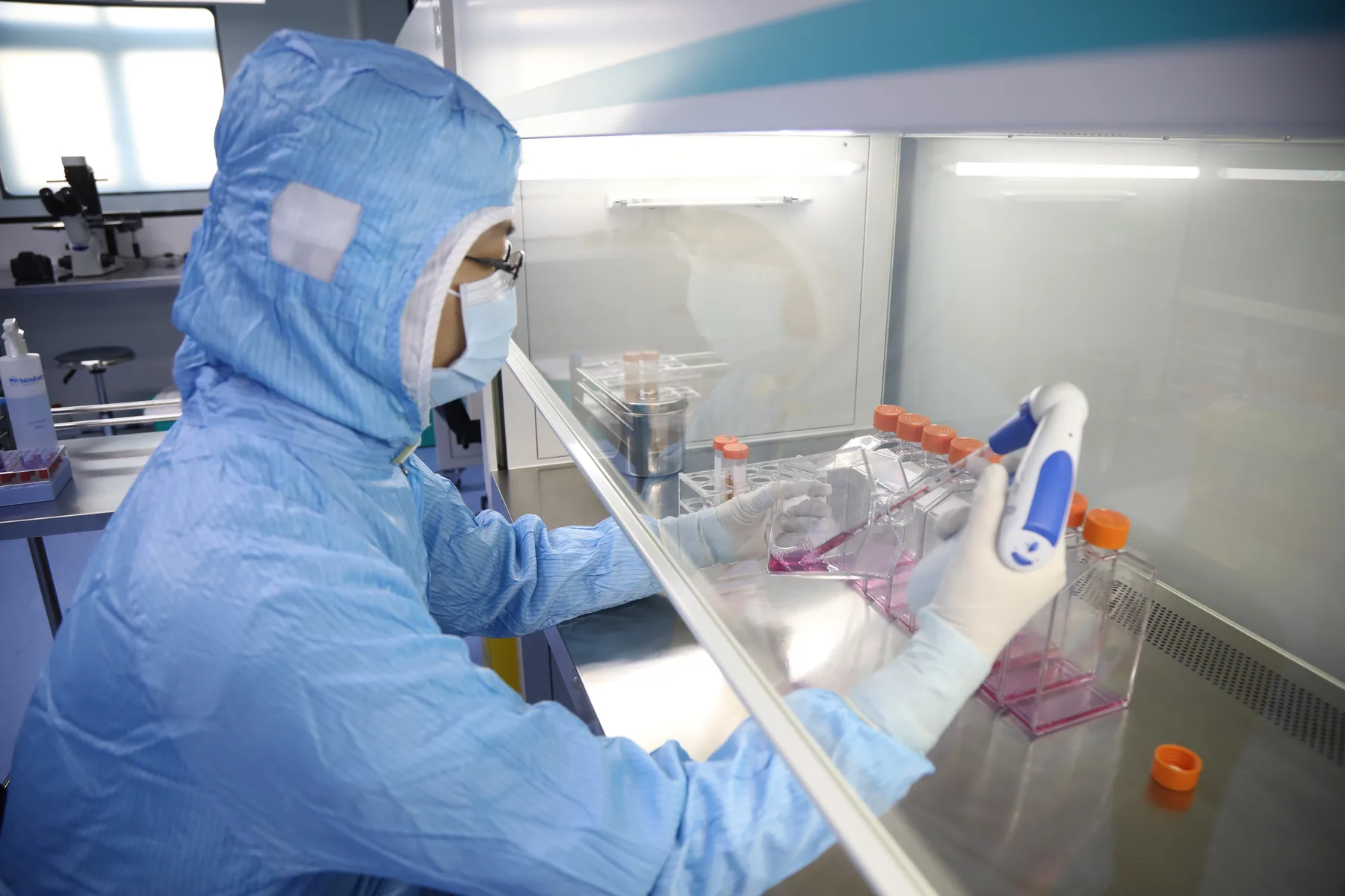 技术人员在生物安全柜内进行无菌移液操作